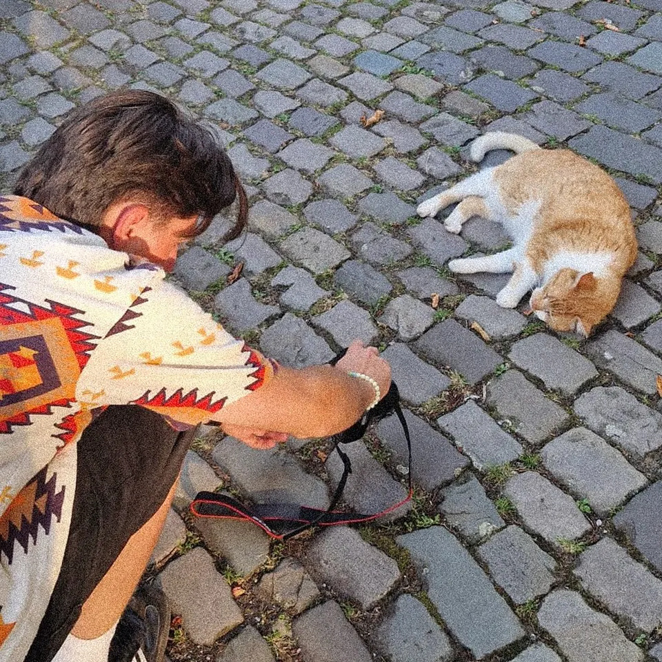 Niko mit Kamera und Katze